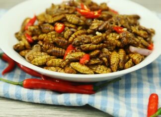 The Ultimate Guide to Stir-Frying Silkworm Pupae: An Explosion of Flavors