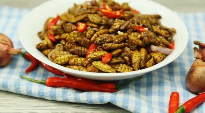 The Ultimate Guide to Stir-Frying Silkworm Pupae: An Explosion of Flavors