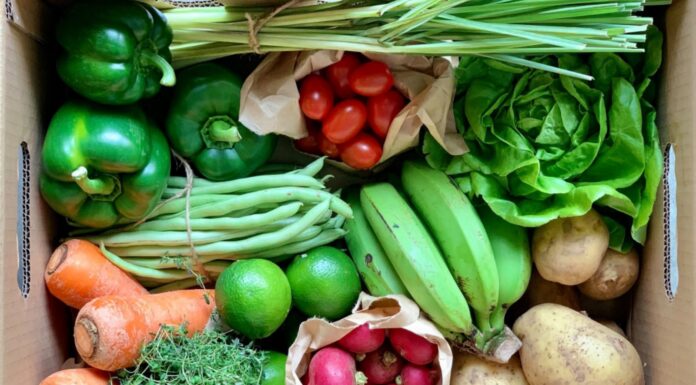 “Are You Washing Your Vegetables Wrong? You’re Not Alone!”
