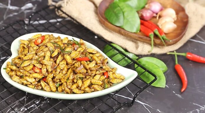 The Secret to Making Crispy and Tangy Silkworm Pupae Stir-Fry