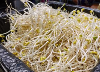 The Ultimate Guide to Buying Bean Sprouts: Length Doesn’t Matter, Here’s the Real Deal