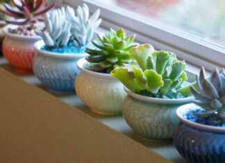 10 Plants You Should Avoid Growing in the Summer Heat