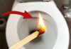 The Stinky Toilet: A Quick Fix for an Unpleasant Smell.