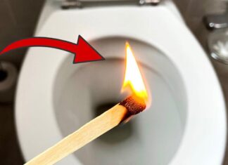 The Stinky Toilet: A Quick Fix for an Unpleasant Smell.