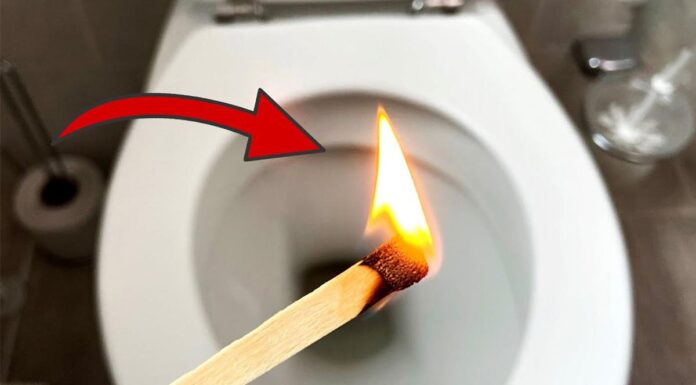 The Stinky Toilet: A Quick Fix for an Unpleasant Smell.