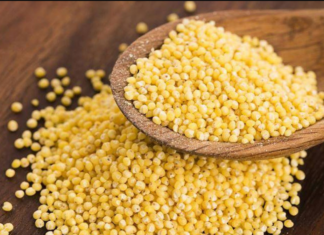 “The Superfood Seed for Longevity: Unlock Radiant Skin, Thick Hair and a Slim Figure.”