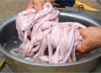 The Ultimate Guide to Cooking Delicate Offal: Beyond Salt and Pepper.