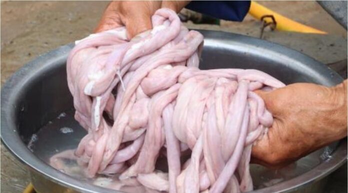 The Ultimate Guide to Cooking Delicate Offal: Beyond Salt and Pepper.