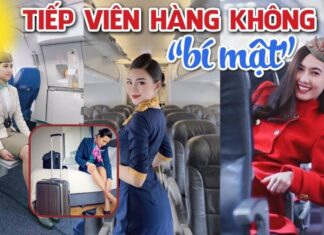 Why Flight Attendants Opt for 5-Star Hotels: The Real Reasons They Don’t Go Home Post-Landing.