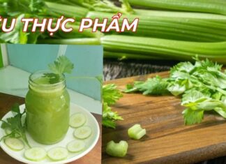 The Ultimate Green Warrior: Unveiling the Powerful Cancer-Fighting Vegetable in Your Trash