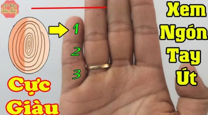 The Length of Your Pinky Finger Reveals Your Fate: Is Great Wealth in Your Destiny or a Life of Poverty?