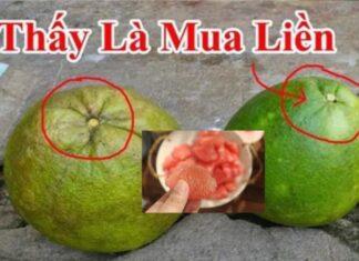 The Secret to Choosing the Sweetest Pomelo: Thin Skin, Juicy Flesh