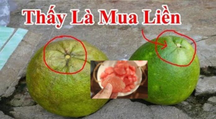 The Secret to Choosing the Sweetest Pomelo: Thin Skin, Juicy Flesh