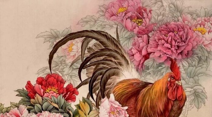 The Lucky Few: Unlocking the Secrets to a Wealthy 2024