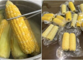 How to Keep Boiled Corn Delicious and Sweet for Longer