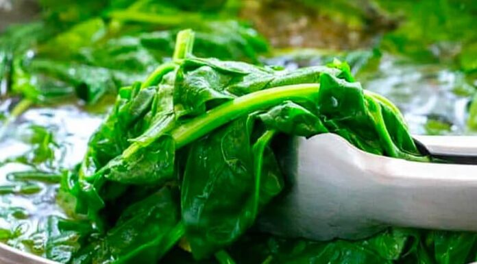 7 Vegetables That Become More Nutritious When Cooked: Nurturing Your Child’s Growth