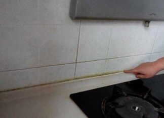 “Reviving Silicone: Eradicate Mold and Grime with a Vinegar Cleanse”