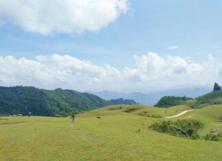 Exploring the Pu and Chai Heartland: A Thousand-Guest Attraction – What to Do and Where to Eat?