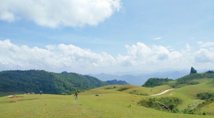 Exploring the Pu and Chai Heartland: A Thousand-Guest Attraction – What to Do and Where to Eat?