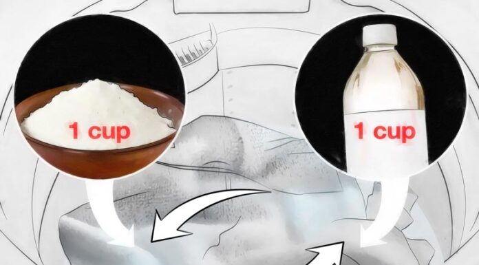 “Get Rid of That Musty Towel Smell: The Secret Ingredient to Fresh Laundry”