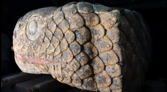 The Unveiling of a 500-Year-Old Treasure: A Story of Unimaginable Timing