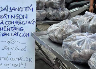 The Ultimate Superfood: Sweet Potatoes, Your Affordable Health Companion