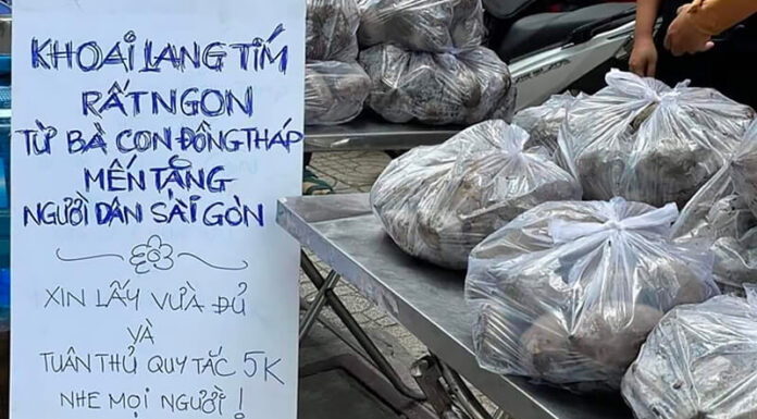 The Ultimate Superfood: Sweet Potatoes, Your Affordable Health Companion