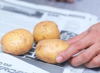 Keep Your Potatoes Fresh and Sprout-Free: A Simple Storage Hack.