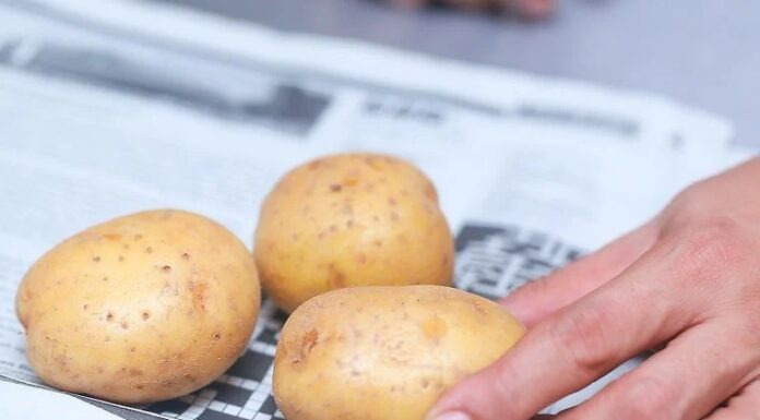 Keep Your Potatoes Fresh and Sprout-Free: A Simple Storage Hack.