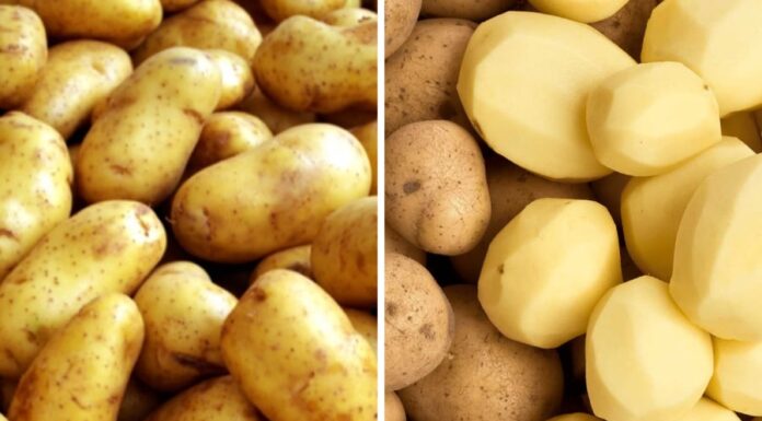 The Secret to Crispy French Fries: It’s All in the Crunch!