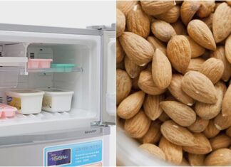 The Ultimate Guide to Freezer Food: Unveiling the Surprising Items That Thrive in Your Icebox