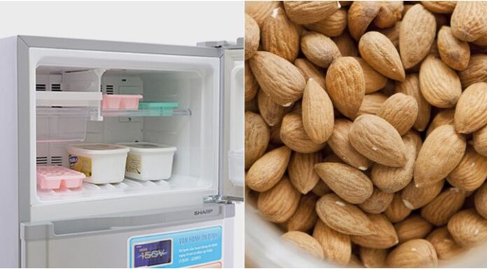The Ultimate Guide to Freezer Food: Unveiling the Surprising Items That Thrive in Your Icebox