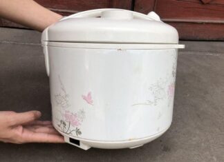The Rice Cooker’s Redemption: Unveiling a World of Possibilities.