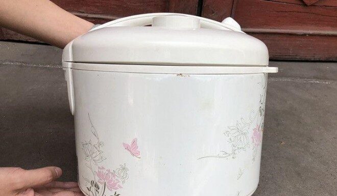 The Rice Cooker’s Redemption: Unveiling a World of Possibilities.