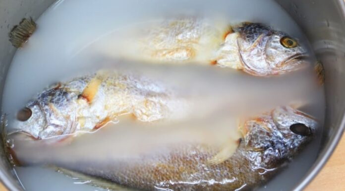 Eliminate Fish Odor with This Soaking Solution
