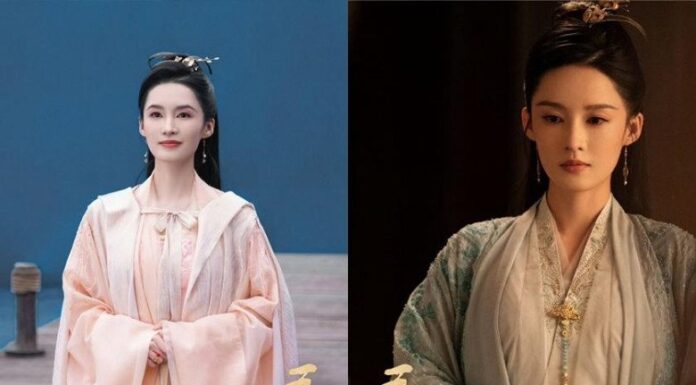 The Beauty Blender: Unveiling the Secret to Flawless Skin – A Natural “Collagen Machine” Revealed