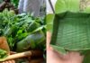 The Surprising Uses of Banana Leaves: Unveiling the Unknown Benefits
