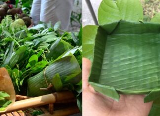 The Surprising Uses of Banana Leaves: Unveiling the Unknown Benefits