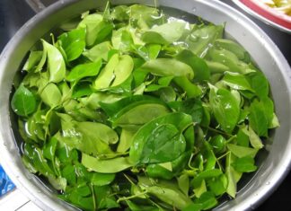 “A Tasty Treat: Hearty Chicken Soup with a Tangy Twist”