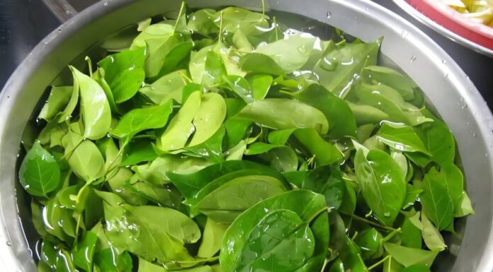 “A Tasty Treat: Hearty Chicken Soup with a Tangy Twist”