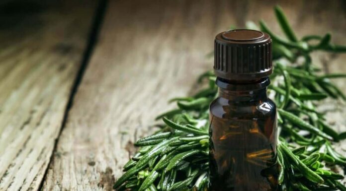 The Ultimate Guide to Making Your Own Disinfectant Spray to Fight Off Viruses and Bacteria