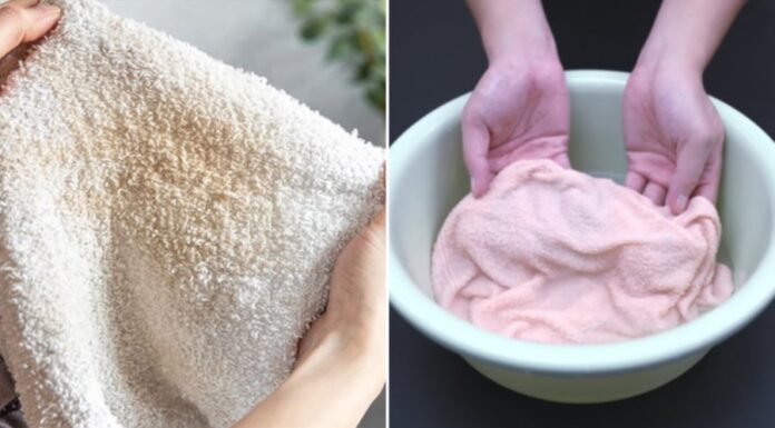 The Ultimate Solution to Eliminate Odors and Bacteria: Soak Your Face and Bath Towels in This Magic Powder for a Fresh, Clean Feel