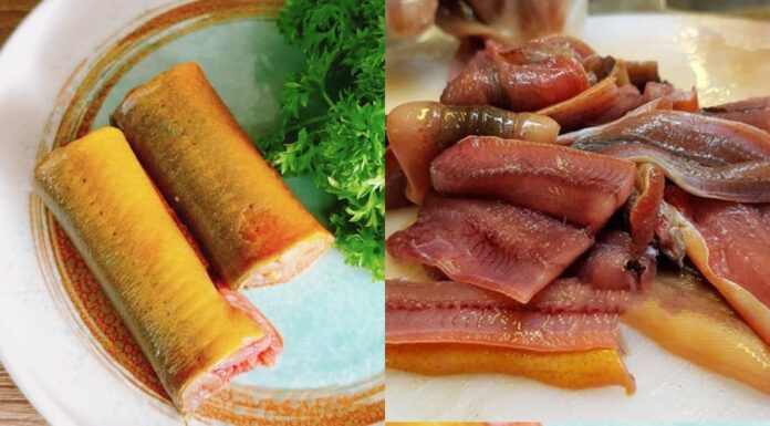 The Ultimate Guide to Cleaning and Removing the Mud-like Substance and Fishy Odor of Eels