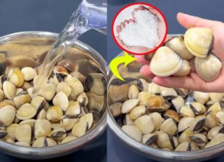 Unlock the Secret to a Clean, Sand-Free Snail with This Simple Trick