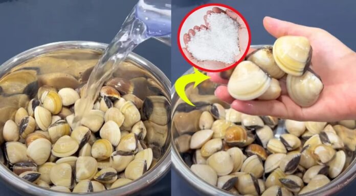 Unlock the Secret to a Clean, Sand-Free Snail with This Simple Trick