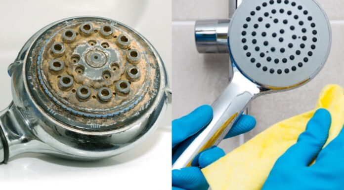 The Ultimate Showerhead Cleaner: A Simple Solution for a Sparkling Shower