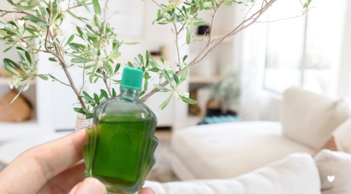 The Magic of That Old Bottle of Essential Oils: Uncover the Surprising New Uses for Your Leftover Liniment