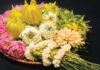The Power of Flowers: Unveiling the Superstitions Behind Altar Arrangements for Mid-July