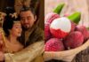 “The Vietnamese Fruit That Sold for a Premium in Japan: A Beauty Elixir and Anti-Aging Remedy Loved by Ancient Concubines”