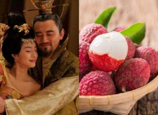 “The Vietnamese Fruit That Sold for a Premium in Japan: A Beauty Elixir and Anti-Aging Remedy Loved by Ancient Concubines”